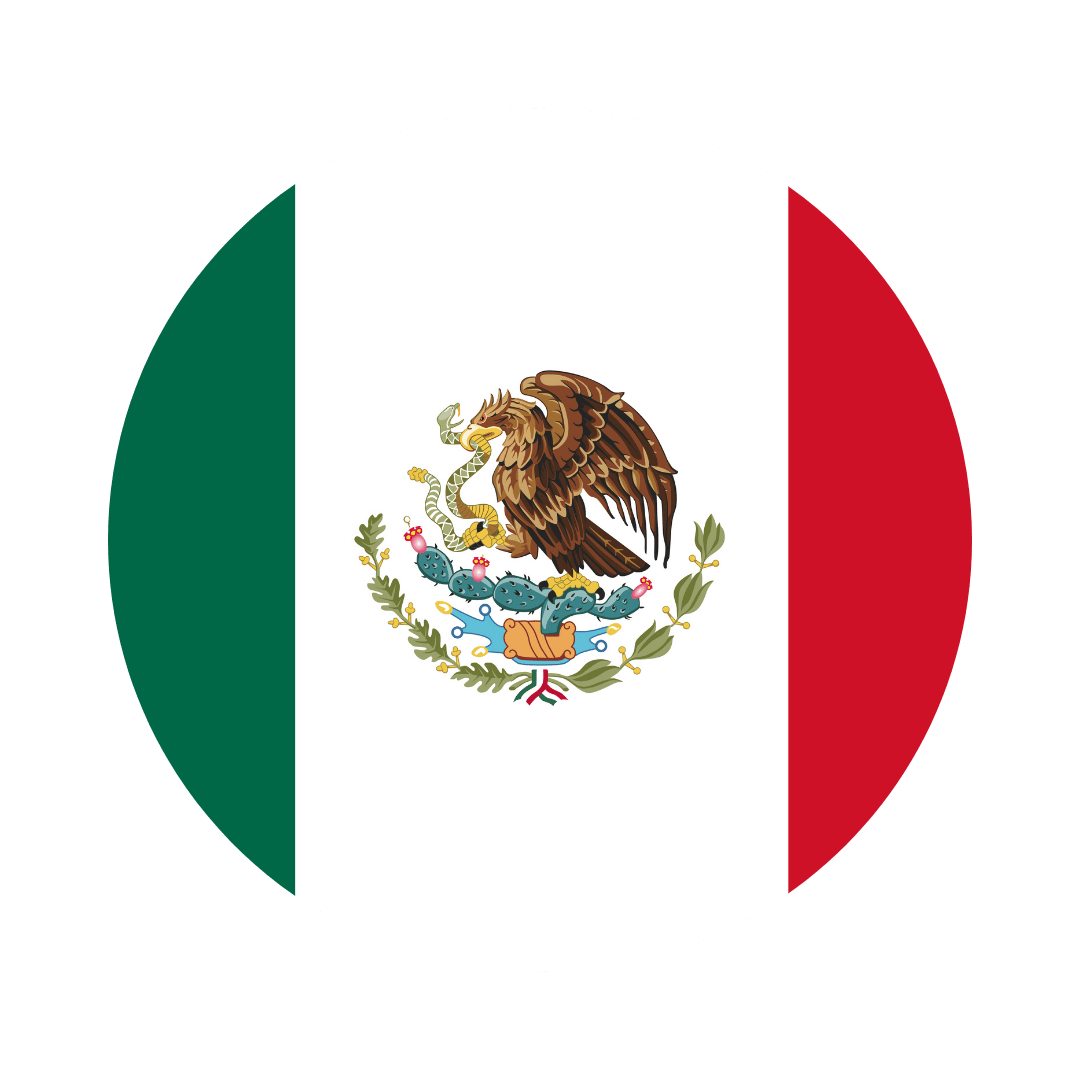 Mexico flag