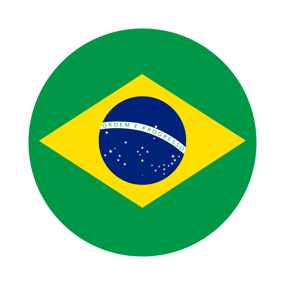 Brazil flag Icon