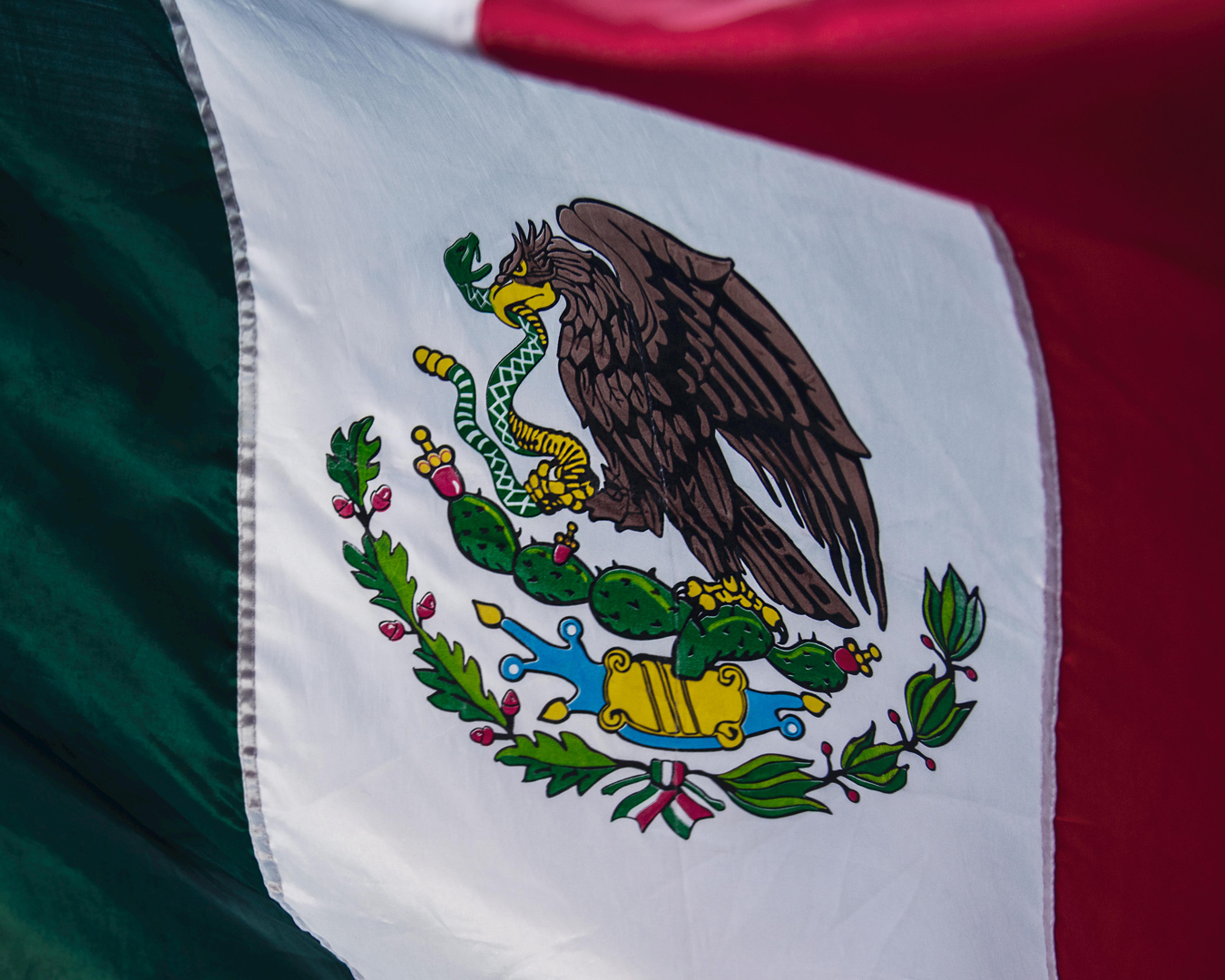 Mexico Cartels and Unrest