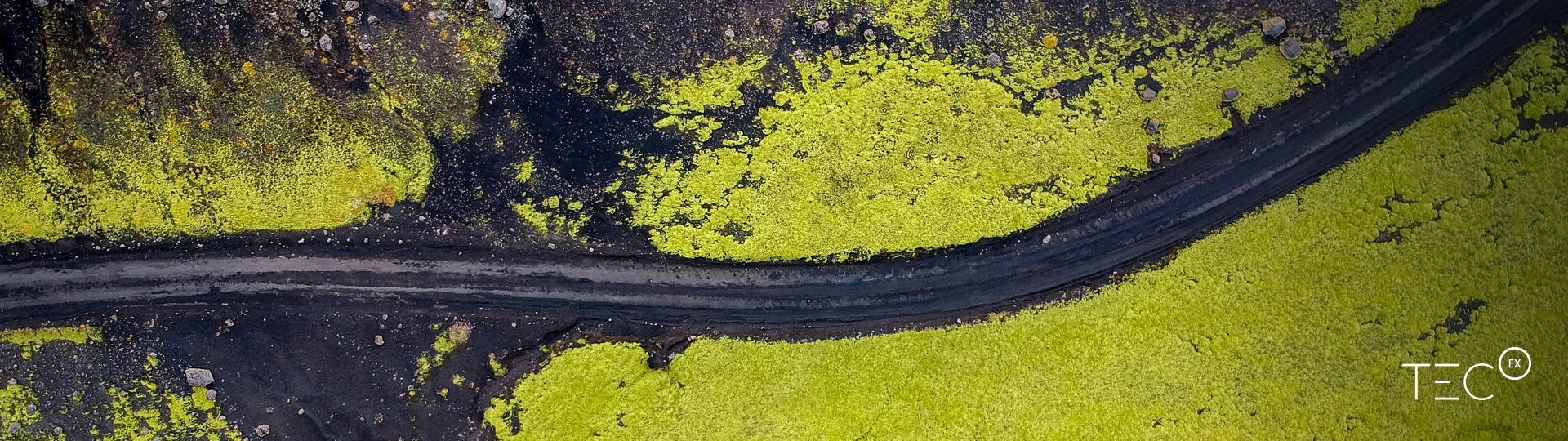 How TecEx Imported Specialized AI Chips from the US to Iceland