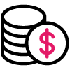 dollar payment to vendor
