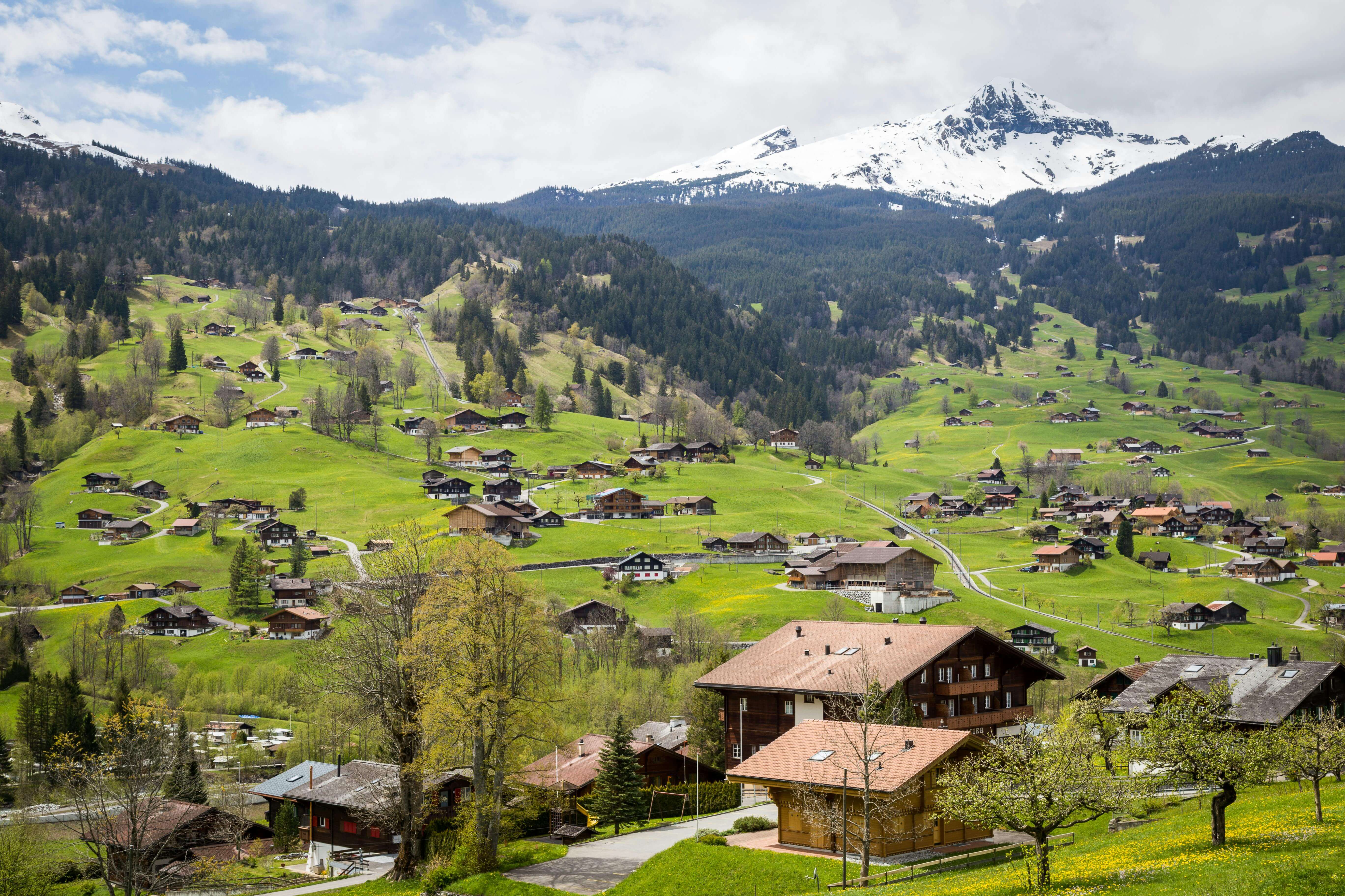 Import to Switzerland 