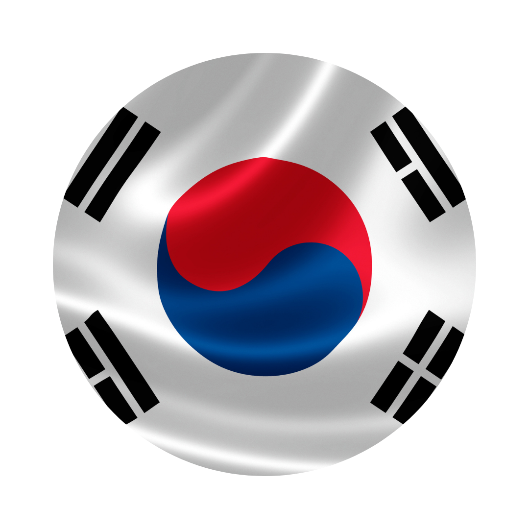 South Korea flag in a circle