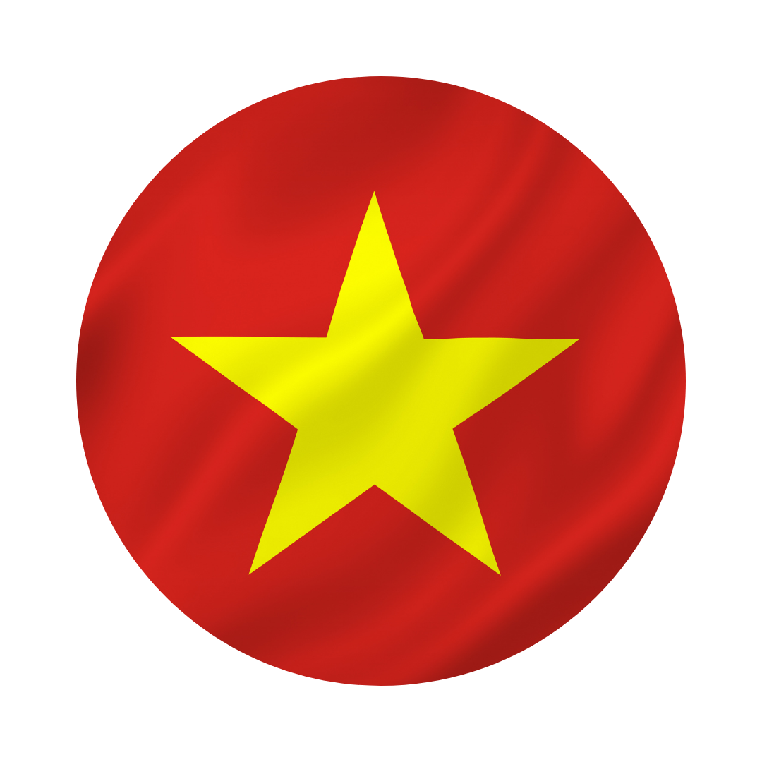 Vietnam flag in a circle