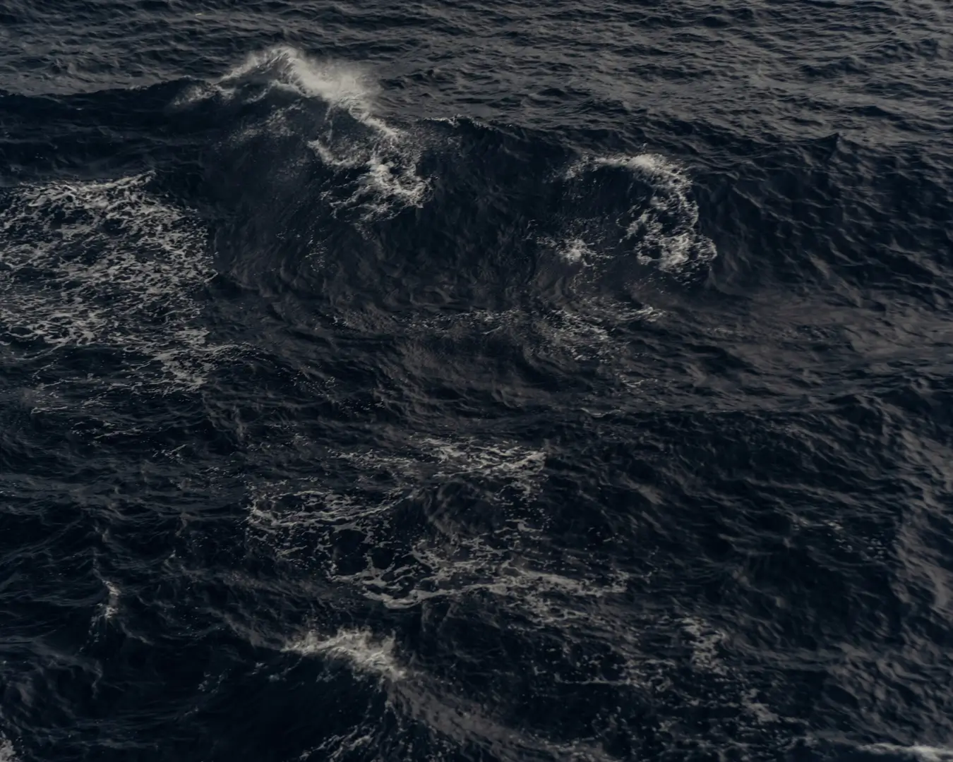 global shipping disruptions - tecex
