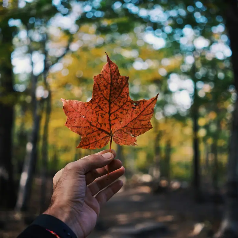 canada